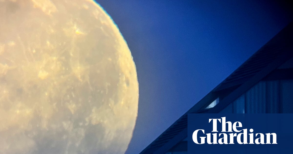 ‘It brings the moon down to Earth’: Mimi Mollica’s best phone picture | Photography