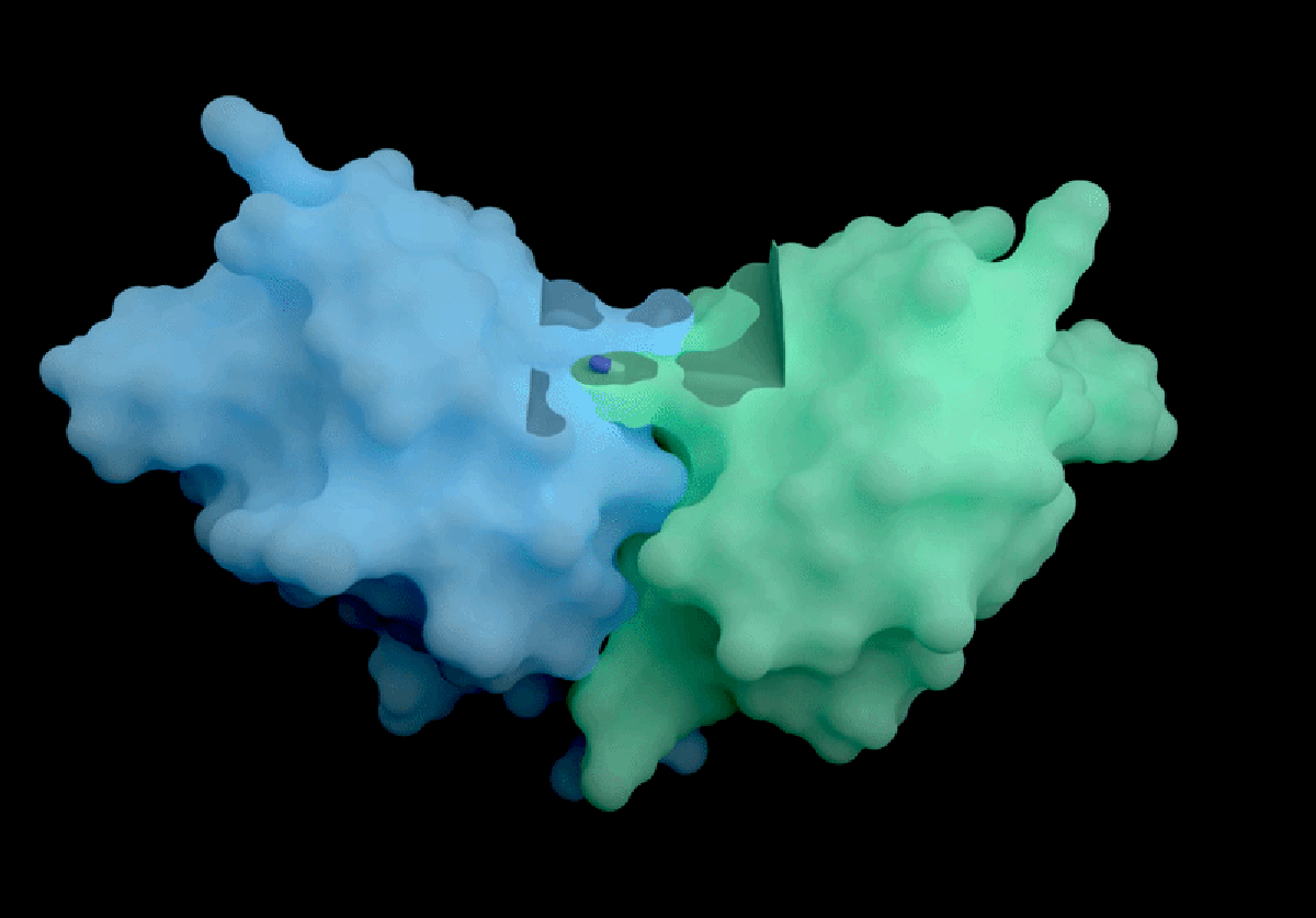 ‘An AlphaFold 4’—scientists marvel at DeepMind drug spin-off’s exclusive new AI