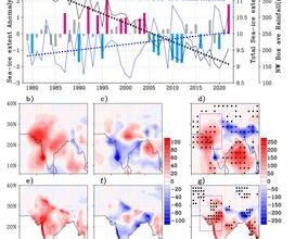 Early-summer Arctic ice melt impacts late-summer Indian monsoon rainfall