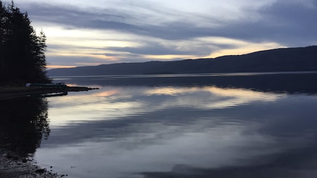 Mi'kmaw organization receives $491K to help create ecological corridors across Cape Breton