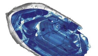 On This Day, Feb. 24: Scientists announce oldest-known fragment from Earth's crust