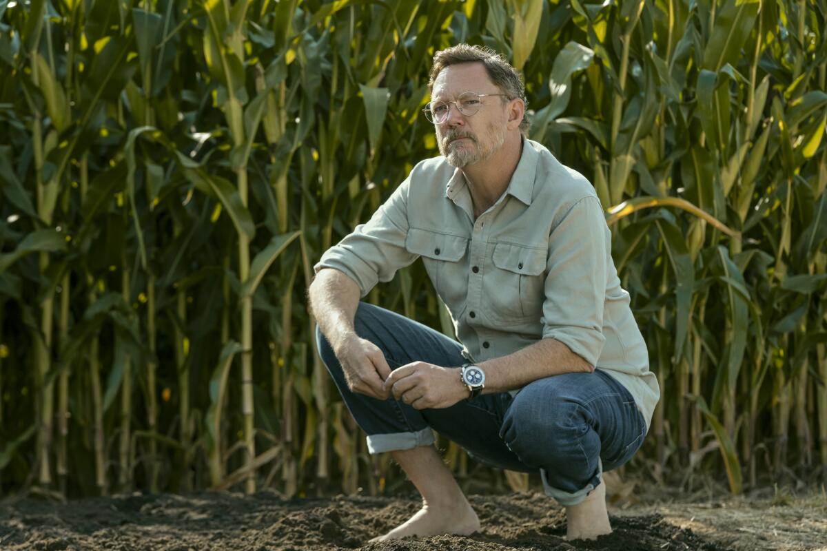 A barefoot and bespectacled Matthew Lillard squats in front of stalks of corn in a field.