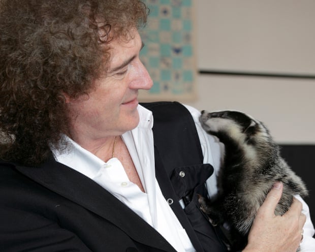 Brian May and his badger