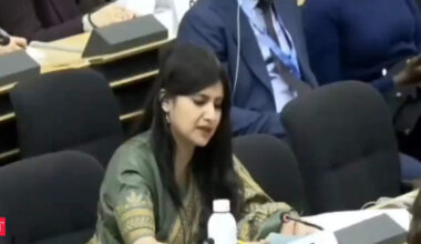 Pakistan lives in 'la-la land', J&K's budget more than double its bailout package: India