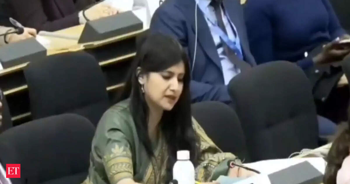 Pakistan lives in 'la-la land', J&K's budget more than double its bailout package: India