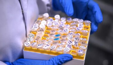 India Moves Closer to Dengue Vaccine as Final Trials Underway