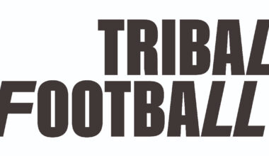 Ireland football chief admits they have 'no choice' but to play Israel fixtures