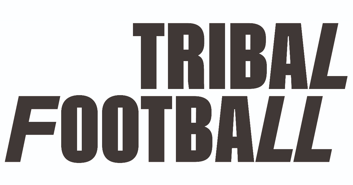 Ireland football chief admits they have 'no choice' but to play Israel fixtures