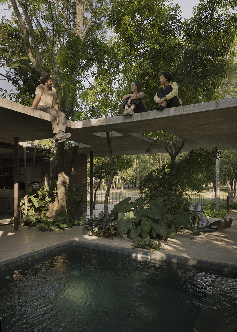 a forest in the house by equipo de arquitectura integrates existing trees into residential design in paraguay 11