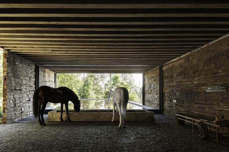 The Centauric Heritage: Equine Scale and Mexican Monumental Architecture - Image 9 of 14