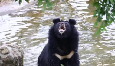He Lived In A Tiny Cage For 27 Years — Now He's Seeing The Sky For The First Time