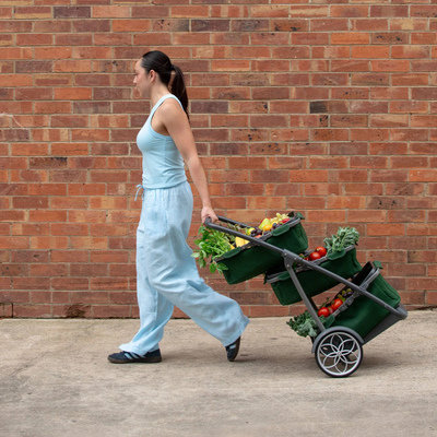  Multi-Level Granny Cart Provides Way Better UX