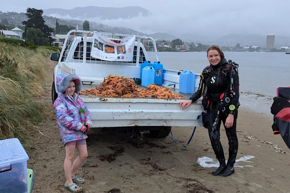 Volunteers standing with ute tray's worth of seastars at the River Derwent.