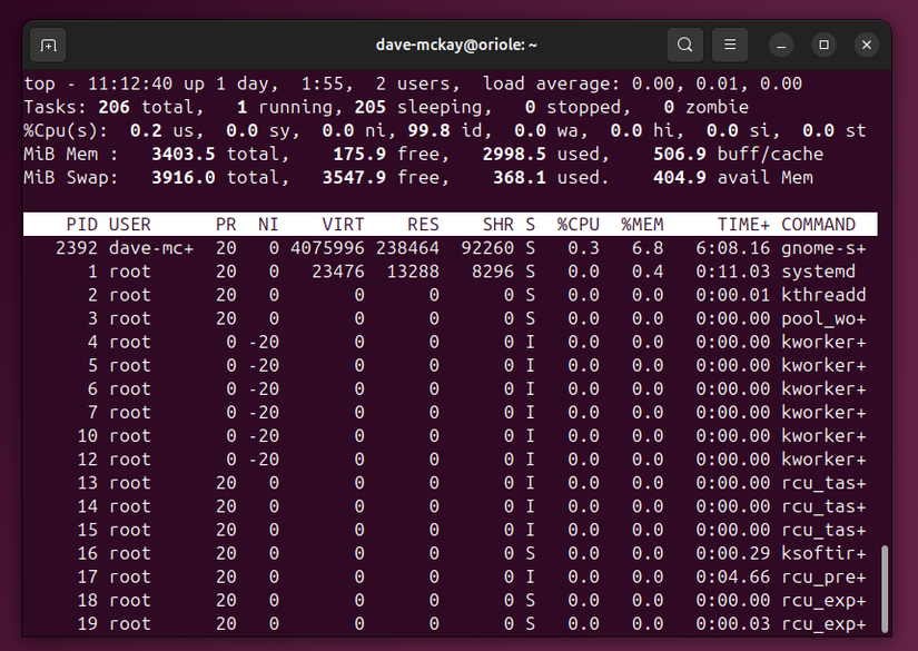The top program running in a linux terminal window.