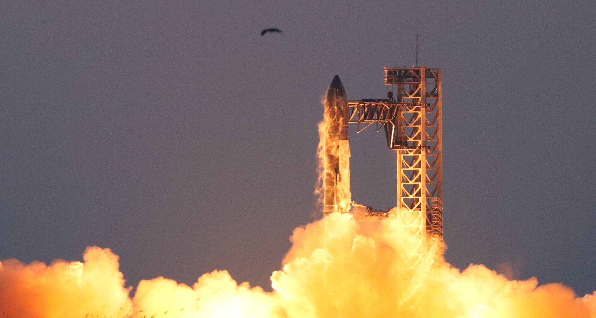 Musk merges SpaceX and xAI firms, plans for space-based AI data centres | Elon Musk News