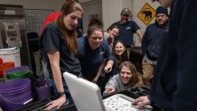 Smithsonian animal care and veterinary staff with the Asian elephant calf that was born to female Asian elephant Nhi Linh on February 2, 2026 at the Smithsonian's National Zoo. The Zoo's Asian elephant Spike is the father of this calf.
In this photo: Staff are looking at the ultrasound of Nhi Linh.