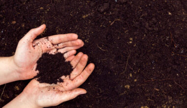 Hands holding soil