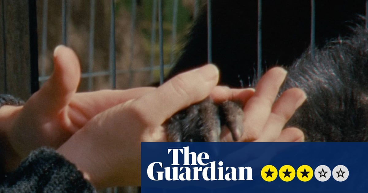 Collective Monologue review – sensuous zoo study foregrounds contacts between keepers and creatures | Movies