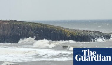 Country diary: A walk on the wild side of Whin Sill | Environment