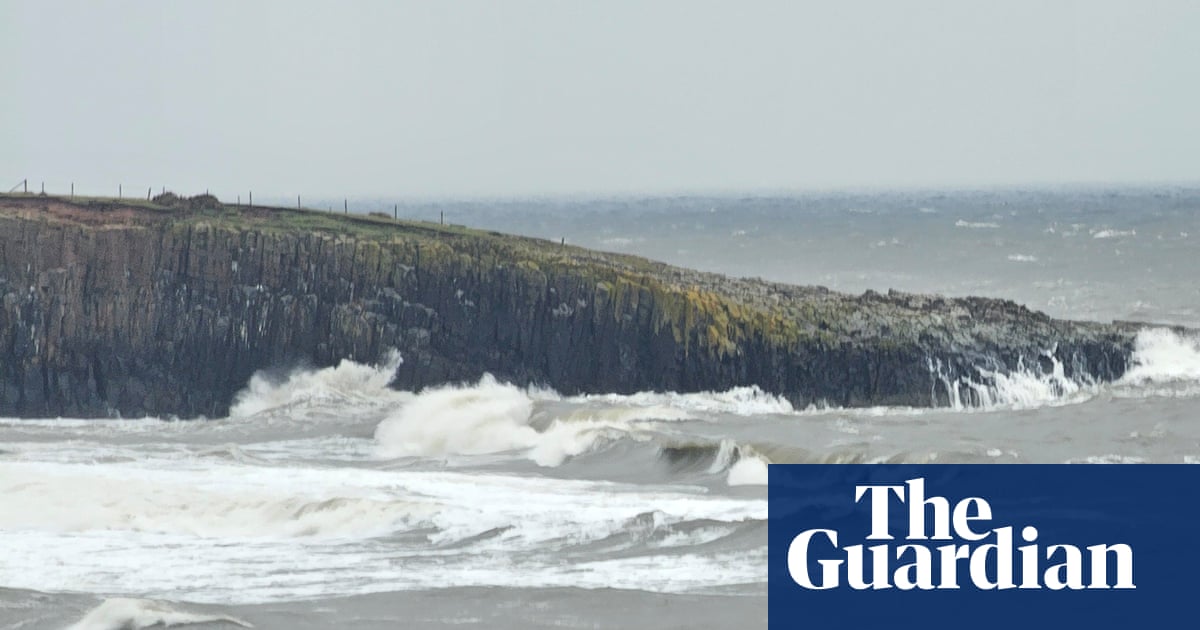 Country diary: A walk on the wild side of Whin Sill | Environment