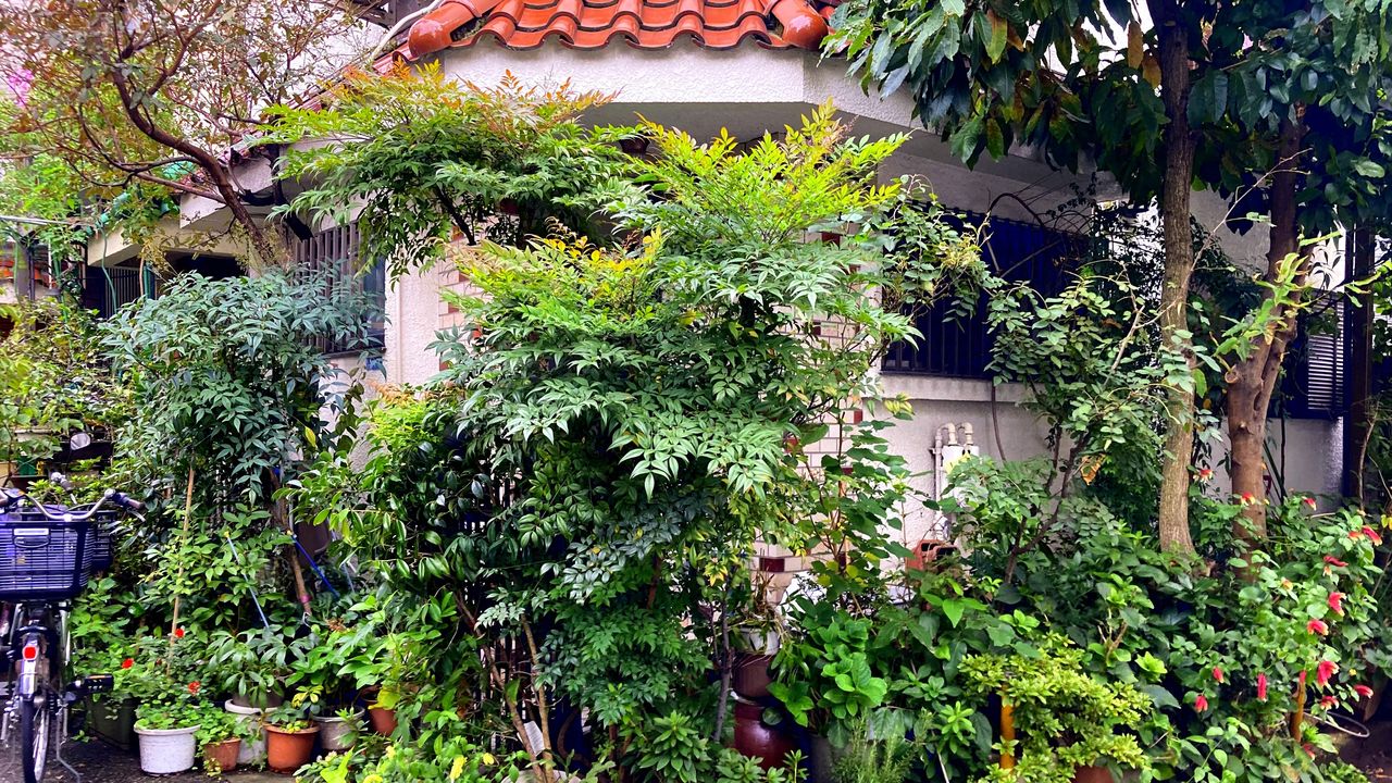 From Tabata to Sugamo: Greenery and Graves at the Northern Tip of the Yamanote