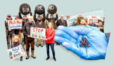 Southern Water knew of plastic beads pollution days before statement