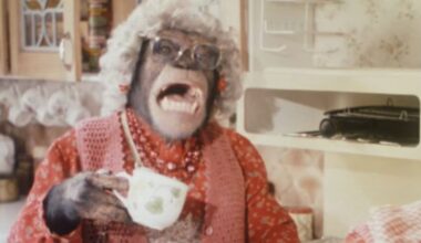 Apes’ tea party proves primates can play at make-believe