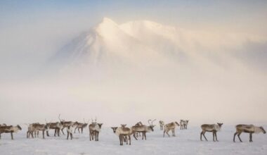 The Arctic is hotting up — what does that mean for us?