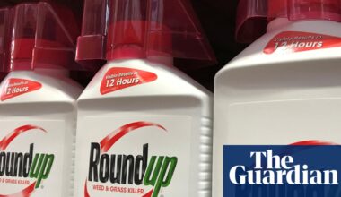 Lawyers for US cancer sufferers challenge Bayer’s $7.25bn Roundup settlement deal | Bayer
