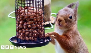 Your pictures of Scotland: Photographs from around the country - BBC