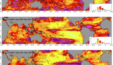 Severe and widespread coral reef damage during the 2014-2017 Global Coral Bleaching Event