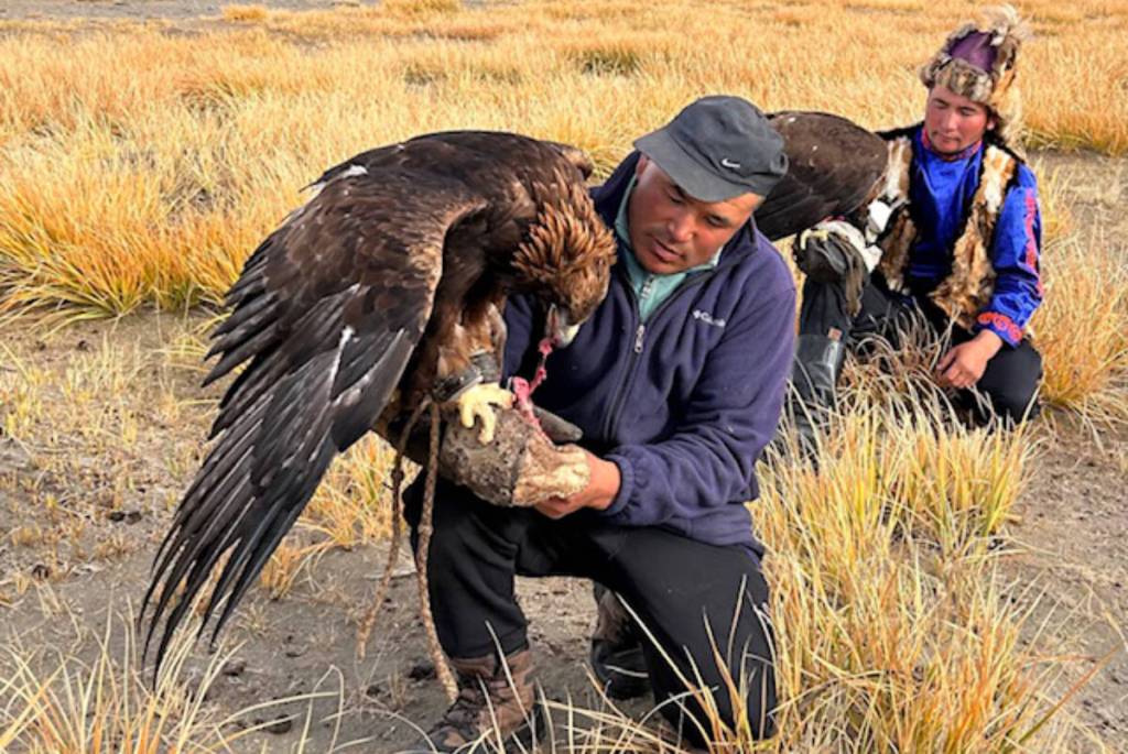 Margie Jamieson will present photos and stories from her adventure in Mongolia at Have Camera, Will Travel at Centre 64 on Feb. 19. (Margie Jamieson/Submitted).