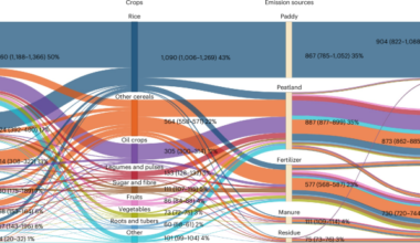 Spatially explicit global assessment of cropland greenhouse gas emissions circa 2020