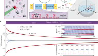 Sensing with discrete time crystals
