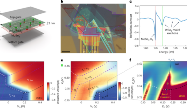 An exciton crystal in a moiré excitonic insulator