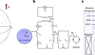 Quantum-limited metrology of macroscopic spin ensembles