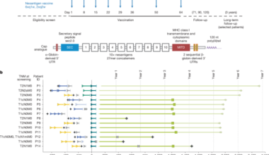 Individualized mRNA vaccines evoke durable T cell immunity in adjuvant TNBC