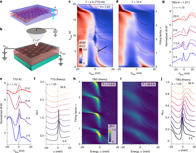 Resolving intervalley gaps and many-body resonances in moiré superconductors