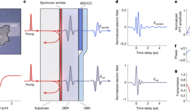 Imaging a terahertz superfluid plasmon in a two-dimensional superconductor