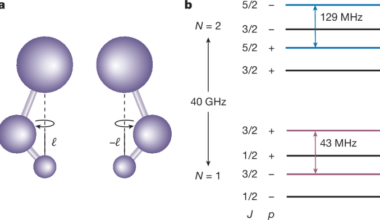 Parity-doublet coherence times in optically trapped polyatomic molecules