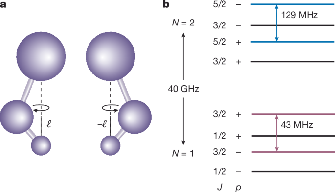 Parity-doublet coherence times in optically trapped polyatomic molecules