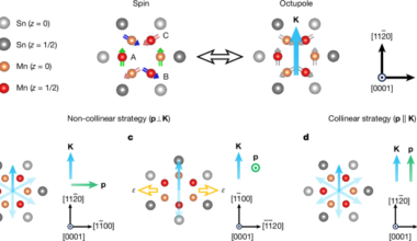 Field-free full switching of chiral antiferromagnetic order
