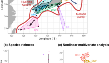 Large-scale environmental DNA survey reveals niche axes of a regional coastal fish community