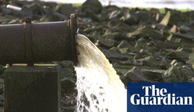 Dirty water, death and decline: the inside story of a privatisation scandal | Water