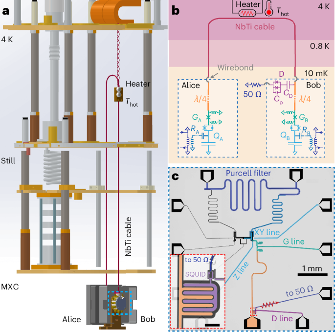 A thermal-noise-resilient microwave quantum network up to 4 K