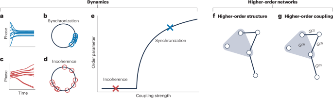 Collective dynamics on higher-order networks