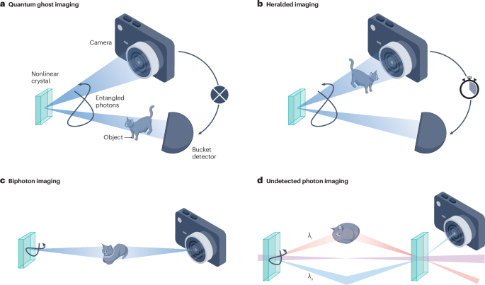 Quantum imaging with correlated photon pairs
