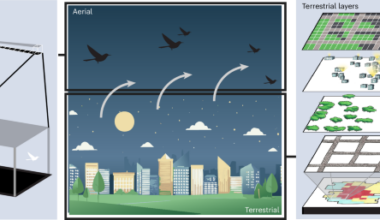 Migratory bird stopover patterns linked to urbanization and social landscapes