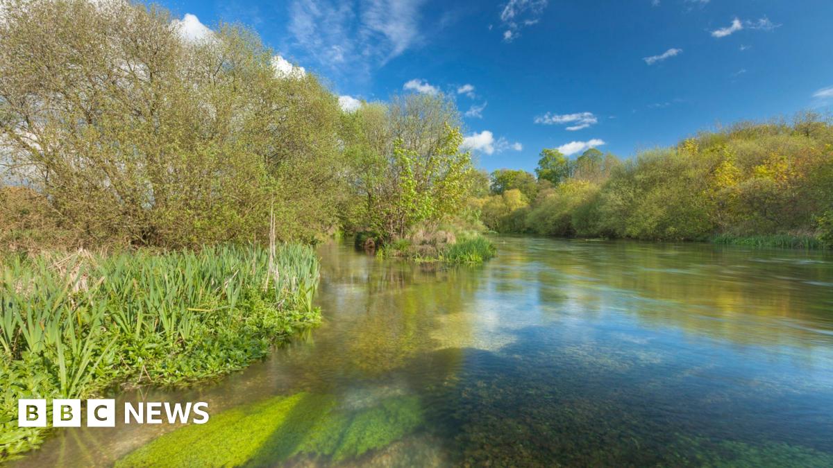 The River Itchen with a reflective shine on a sunny day. The trees flanking the river are brown with green leaves and some green moss can be seen in the foreground of the image.