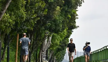 Subscribe Placeholder